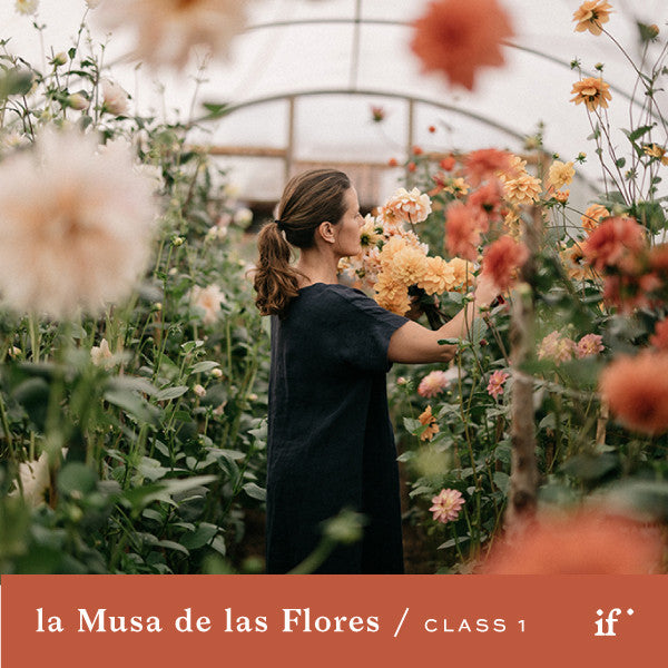 How I Created My Garden with ⅓ of an Acre with la Musa de las Flores