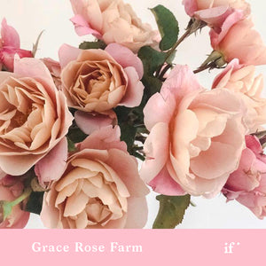 Ordering and Designing with Garden Roses with Grace Rose Farm and Flowerwild (ROP)