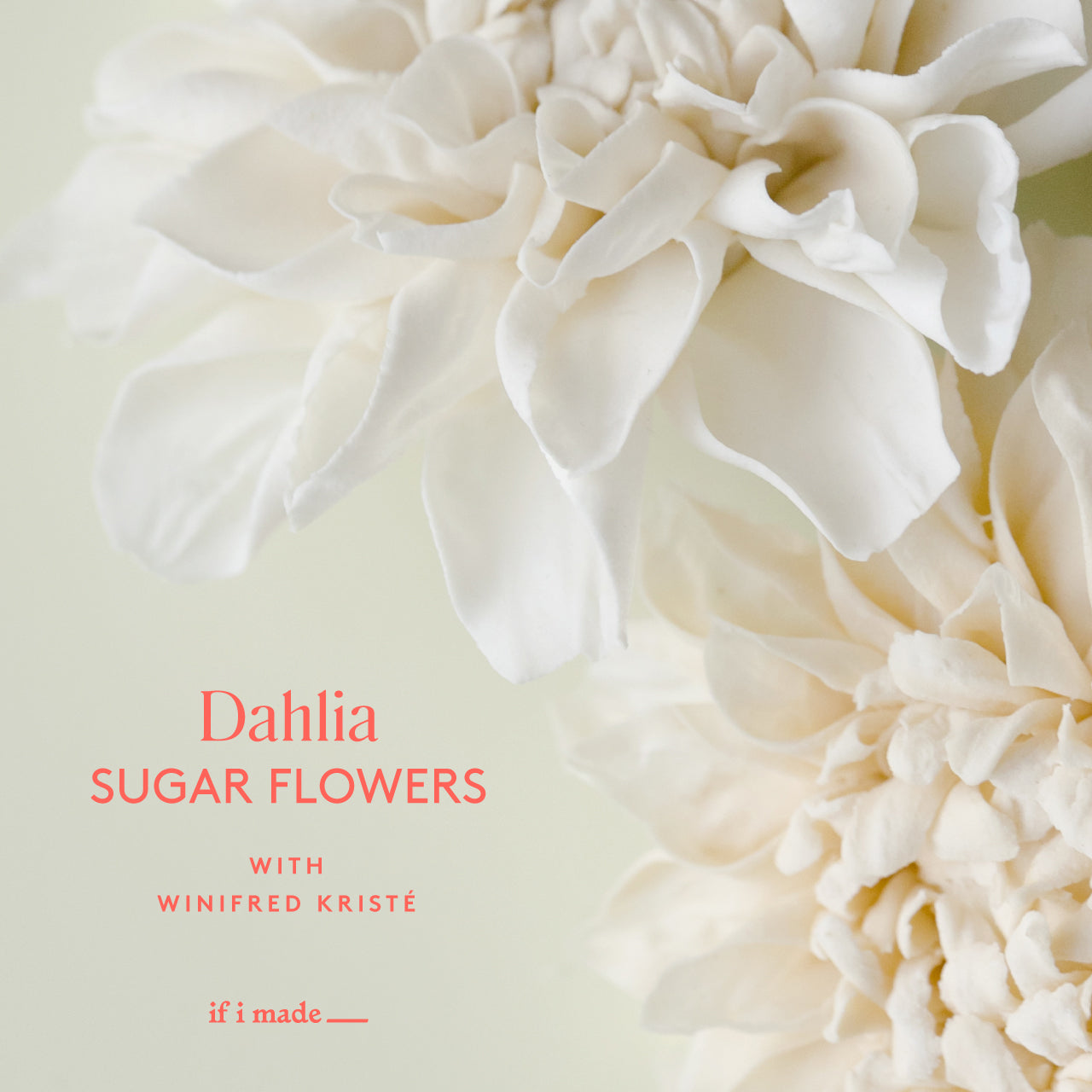 Dahlia Sugar Flower with Winifred Kriste (SOP)
