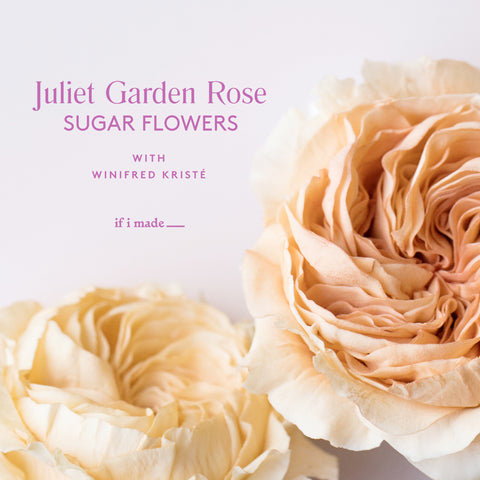 Juliet Garden Rose Sugar Flower with Winifred Kriste (ROP)
