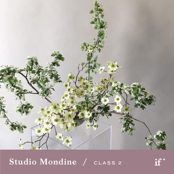 Ikebana Inspired Centerpiece Demo with Studio Mondine (ROP)