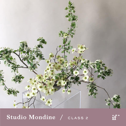 Ikebana Inspired Centerpieces with Studio Mondine (CSOP)